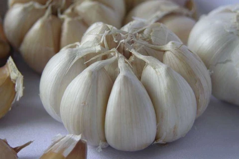 Jangan Khawatir! Bawang Putih Impor Masuk, Pasokan Jelang Ramadan dan Idulfitri Aman